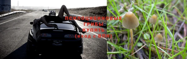 экстази Баксан